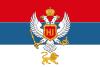 Royal Standard of HM, the King Nikola I of Montenegro(correctv).svg