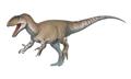 Neovenator.png