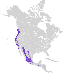 Vireo huttoni map.svg