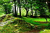 Ballyallaban Ring Fort (8) - geograph.org.uk - 3074975.jpg