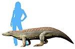 Aetosauroides scagliai life restoration.jpg