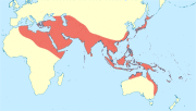 Orthetrum sabina distribution map.svg