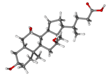 Cholic acid ball-and-stick.png