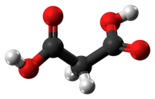 Ball-and-stick model of the malonic acid molecule