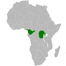 Phyllastrephus xavieri distribution map.png