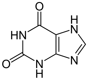 Xanthin - Xanthine.svg