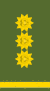 Lieutenant general