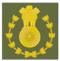 Regimental Havildar Major.gif