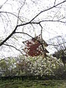 Japan 2007 061.jpg