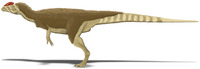 Dilophosaurus wetherilli.PNG