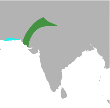 PasserPyrrhonotusMap.svg