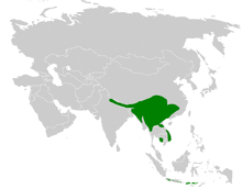 Tesia distribution map.png