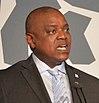 Illegal Wildlife Trade Conference London 2018 (45245990491) (cropped Version 2).jpg