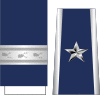 US-Air Force-McPeak-O7.svg