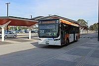 Dysons Bus Mernda Station 2018.jpg