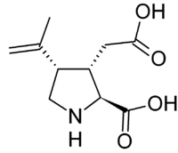 Stereo, skeletal formula of kainic acid