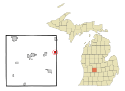 Location of Pewamo, Michigan