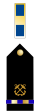 US Navy WO1 insignia.svg