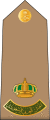 Raid