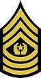 TAMU-09-Cadet-CSM.JPG
