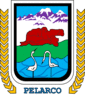 Coat of arms of Pelarco