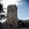 Newtown Castle.png