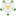 White Rose Badge of York.svg