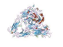 PDB 1jv2 EBI.jpg