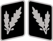 SS-Oberführer Collar Rank.svg