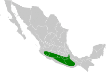 Vireo brevipennis map.svg