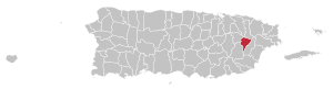 Map of Puerto Rico highlighting Juncos Municipality