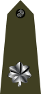 US Marine O5 shoulderboard vertical.svg
