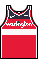 Kit body washingtonwizards icon.png