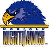 Norfolk Nighthawks logo