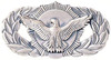 SECURITY POLICE QUALIFICATION BADGE.png