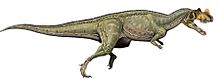 Life reconstruction