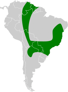 Promops nasutus map.svg