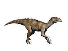 Sacisaurus NT small.jpg