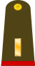 Mexico army OF1a.svg