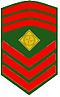OR-5 insignia