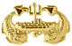 Deep Submergence Officer badge.jpg