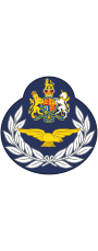 British RAF (Aircrew) OR-9.svg