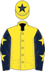 Yellow, dark blue sleeves, yellow stars, yellow cap, dark blue star