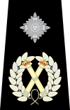 UK Police Deputy Chief Constable Epaulette