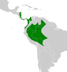 Myiozetetes granadensis map.svg