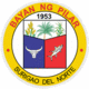 Official seal of Pilar