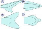 PletwyRyb.svg