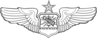 US Air Force Senior Astronaut Observer Navigator Combat System Officer Badge.png