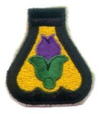 21st cav div.jpg
