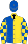 Yellow and royal blue (halved), checked sleeves, royal blue cap